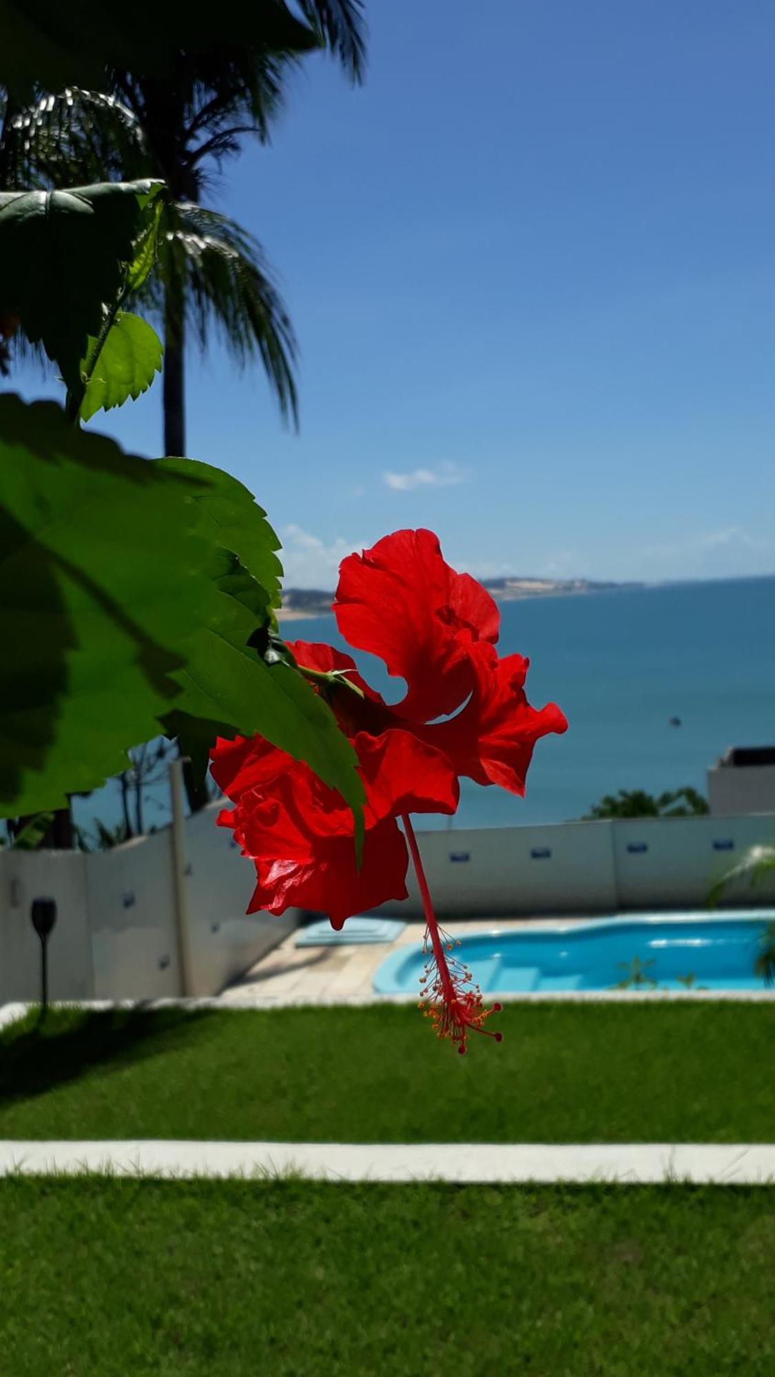 Hotel Pousada Estacao Do Sol Натал Екстериор снимка
